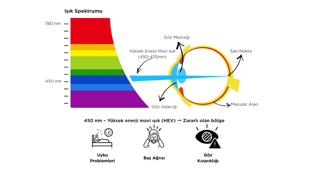 Mavi Işık ve Göz Sağlığı: Potansiyel Riskler ve Kanıt Durumu